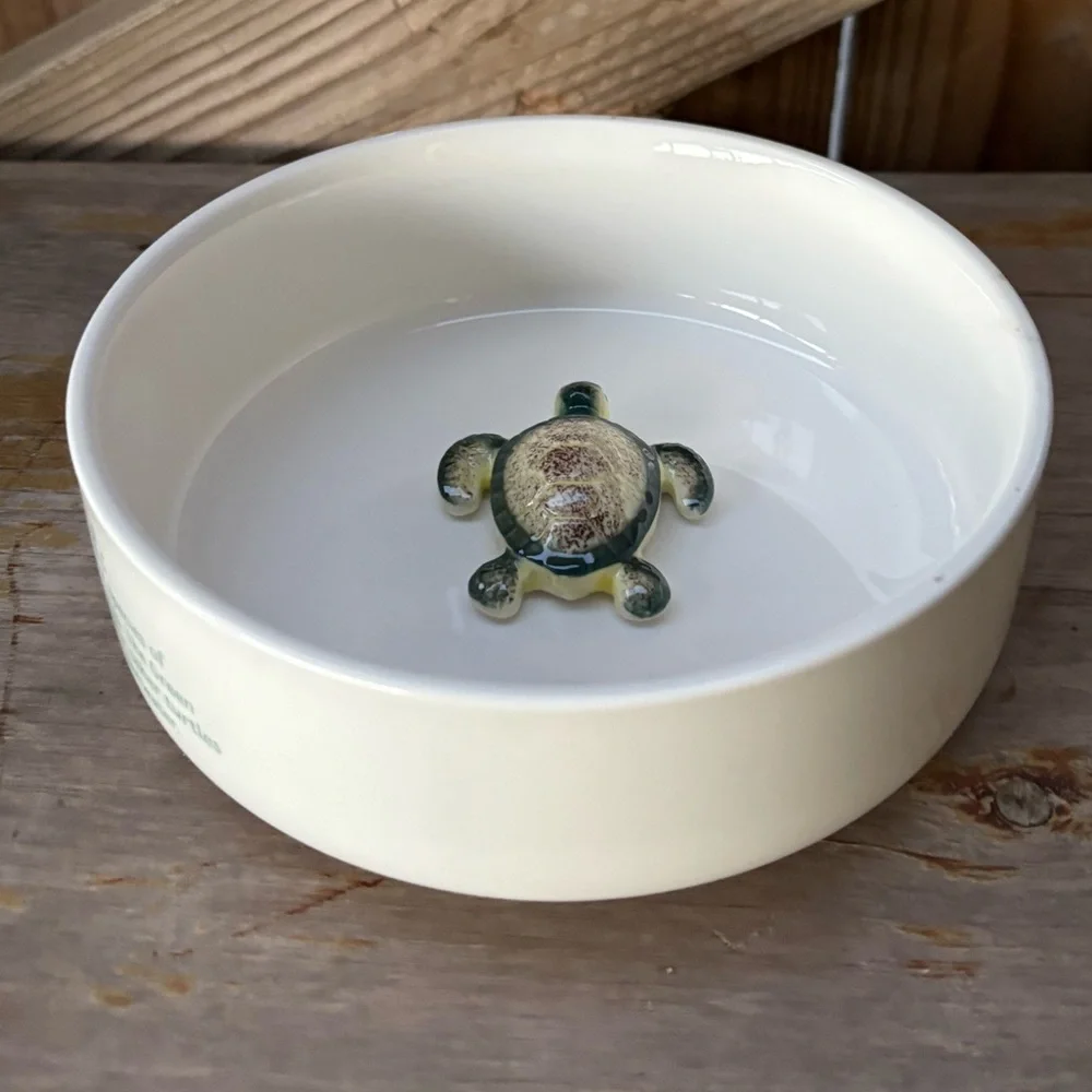 Honest Goods 3D Green Sea Turtle Pet Water Bowl 6 1/4”W